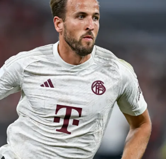 让人看到了 让人看到了