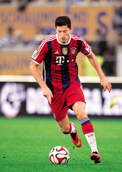 比例不菲的 比例不菲的