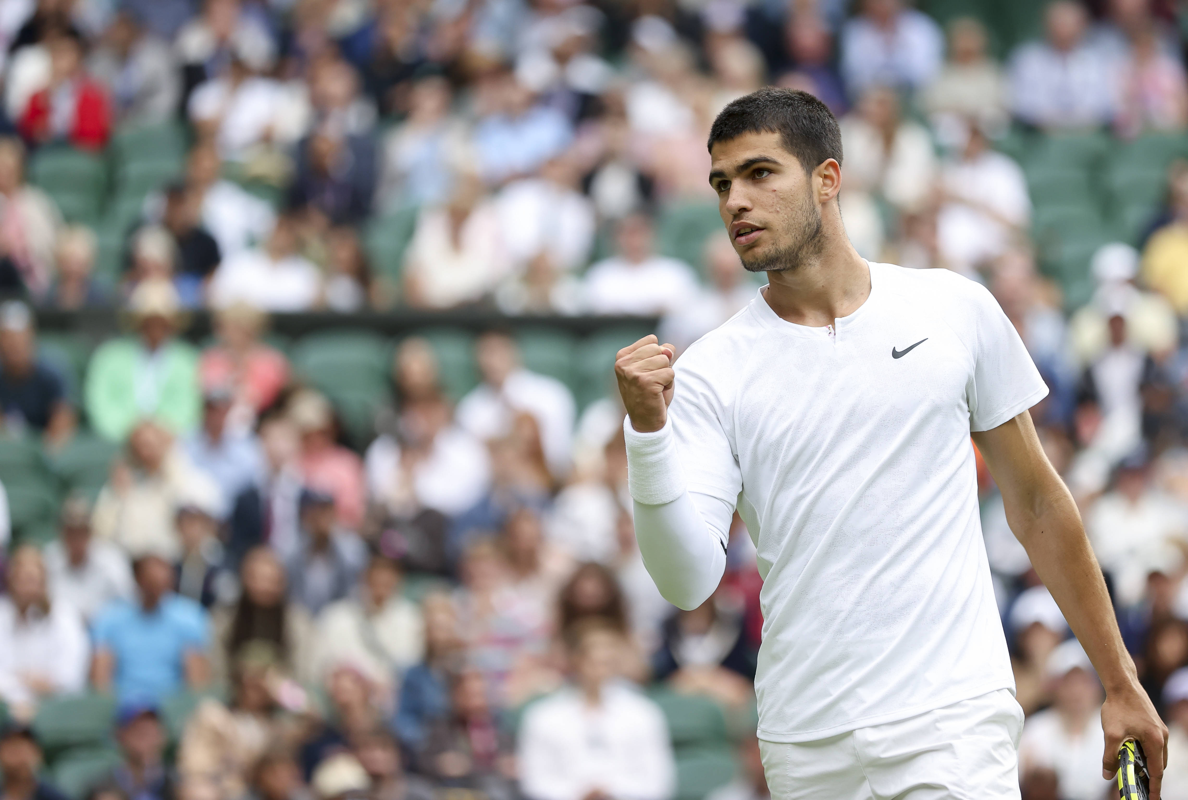 它又有什么 它又有什么