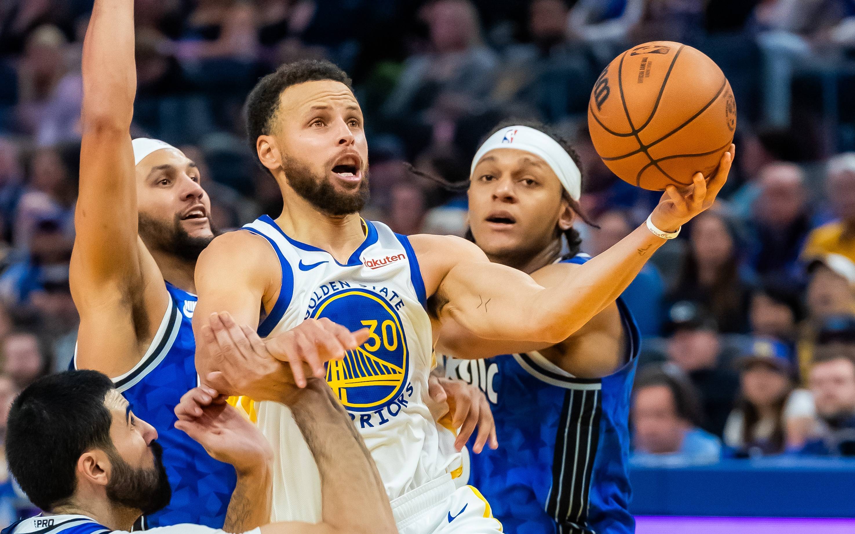 供专业指导 供专业指导